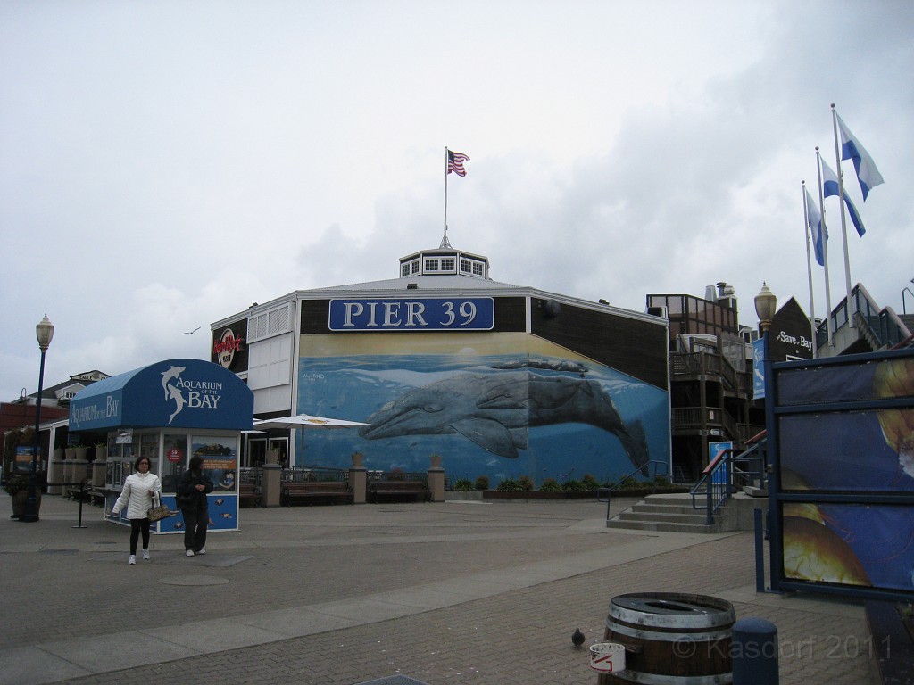 2011 Bay 2 Breakers Saturday 0230.JPG - I was able to participate in the 2011, 100th anniversary of the San Francisco Bay to Breakers 12K race. A great weekend for sight seeing and racing.